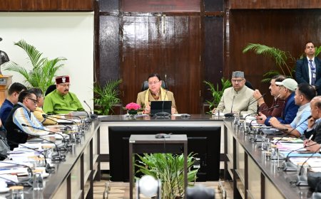 मुख्यमंत्री ने की रोजगार एवं स्वरोजगार से जुड़ी विभिन्न योजनाओं की समीक्षा