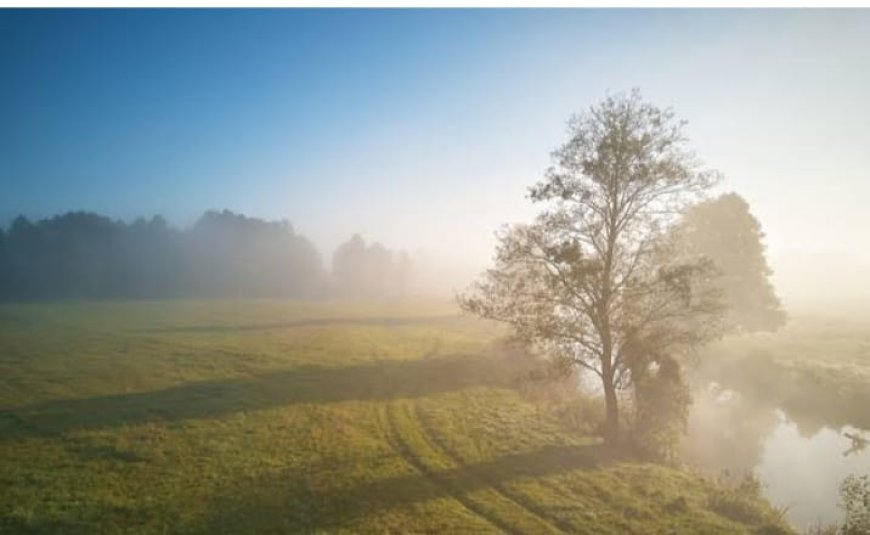 हल्की फुल्की धूप भी नहीं दिला सकी गलन से छुटकारा, कोहरे में शून्य के करीब पहुंची  दृश्यता