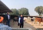 नोडल अधिकारी ने जनपद की गौशालाओं का किया औचक निरीक्षण