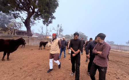 गौ सेवा आयोग सदस्य ने अस्थाई गौ आश्रय स्थल का किया औचक निरीक्षण