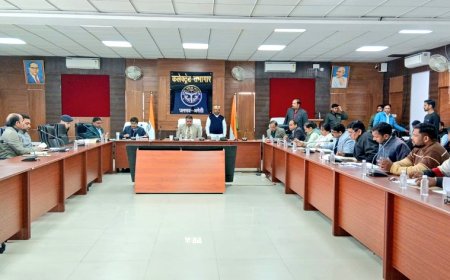 जिलाधिकारी की अध्यक्षता में जिला स्तरीय दिव्यांगता समिति एवं लोकल लेवल कमेटी की बैठक सम्पन्न