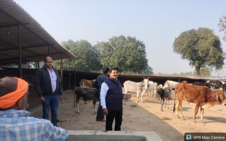 नोडल अधिकारी ने जनपद की गौशालाओं का किया औचक निरीक्षण