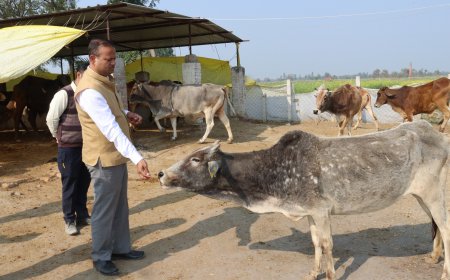 जिलाधिकारी ने गौशाला का किया आकस्मिक निरीक्षण