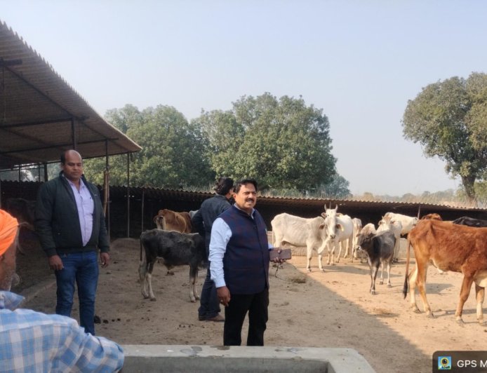 नोडल अधिकारी ने जनपद की गौशालाओं का किया औचक निरीक्षण