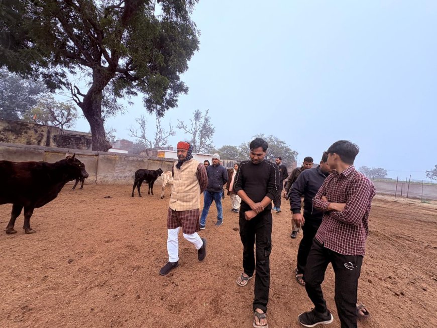 गौ सेवा आयोग सदस्य ने अस्थाई गौ आश्रय स्थल का किया औचक निरीक्षण