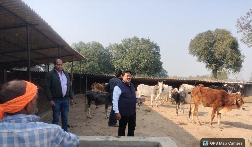 नोडल अधिकारी ने जनपद की गौशालाओं का किया औचक निरीक्षण