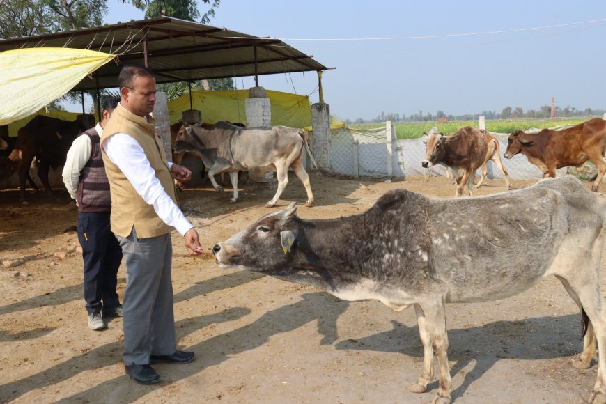 जिलाधिकारी ने गौशाला का किया आकस्मिक निरीक्षण