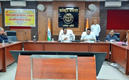 डीएम की अध्यक्षता में संचारी रोग नियंत्रण/दस्तक अभियान की समीक्षा बैठक हुई आयोजित