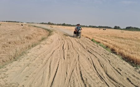 चार किलोमीटर कच्ची सड़क से जूझ रहे दर्जनों गांवों के लोग