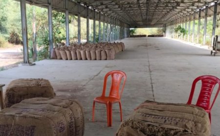 सरकारी दावों की खुली पोल नहीं चलीं ई पॉप मशीनें, गेंहू खरीद बन्द