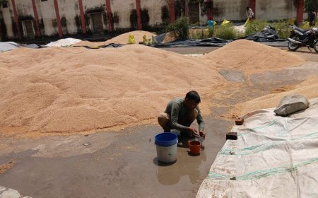 बारिश में गेहूं भीगने पर आक्रोशित किसानों ने खरीद केंद्र सचिव से की नोकझोंक