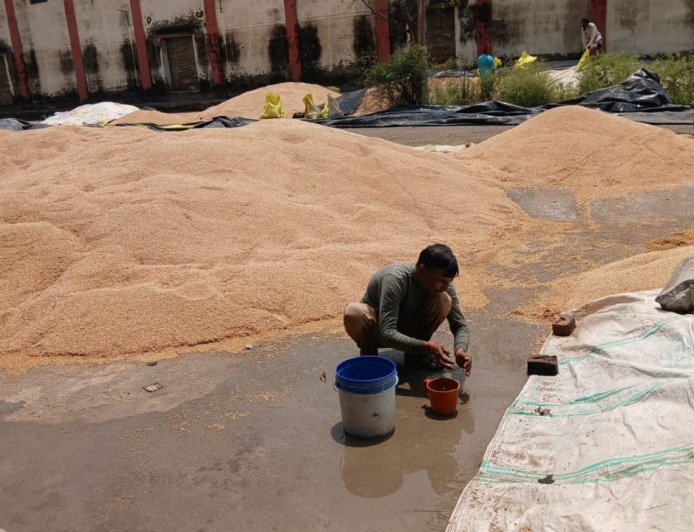 बारिश में गेहूं भीगने पर आक्रोशित किसानों ने खरीद केंद्र सचिव से की नोकझोंक