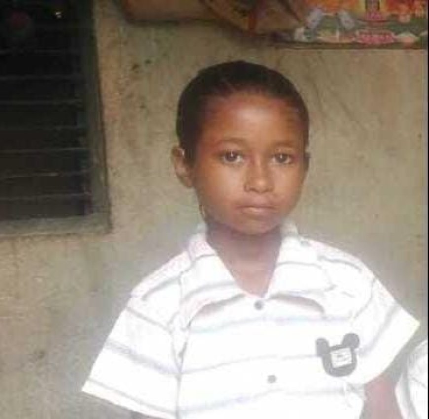 लंगूर के हमले से 11 वर्षीय बच्ची की मौत, क्षेत्र में बंदरों के आतंक पर उठे सवाल