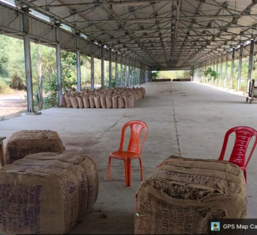 सरकारी दावों की खुली पोल नहीं चलीं ई पॉप मशीनें, गेंहू खरीद बन्द