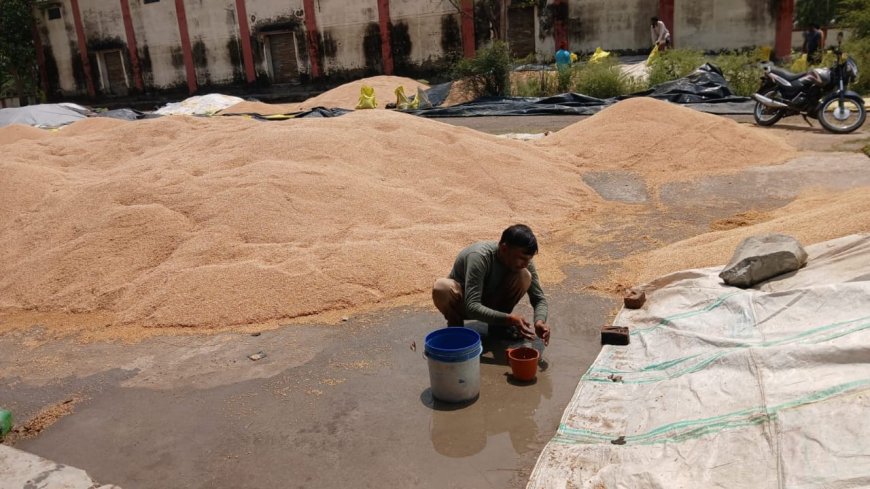 बारिश में गेहूं भीगने पर आक्रोशित किसानों ने खरीद केंद्र सचिव से की नोकझोंक