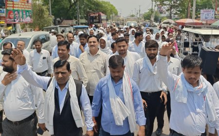 बार एसोसिएशन का धरना-प्रदर्शन, भूमि प्रकरण में कार्रवाई की उठाई मांग