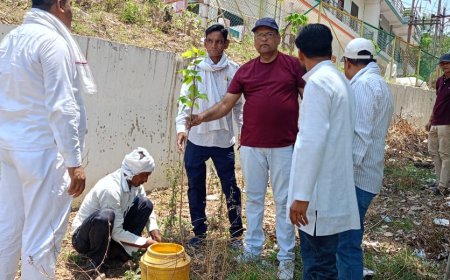 विश्व पर्यावरण दिवस पर पत्रकारों ने वृक्षारोपण कर दिया पर्यावरण संरक्षण का संदेश