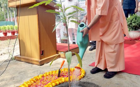 सीएम योगी ने विश्व पर्यावरण दिवस पर आम की प्रजाति अरुणिका का किया पौधरोपण