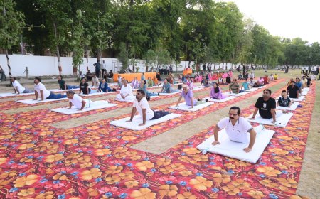 योग सप्ताह-2026 का शुभारंभ, स्वस्थ एवं सक्रिय जीवन के लिए योग अपनाने का दिया गया संदेश