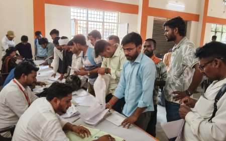 रोजगार मेले में 262 अभ्यर्थियों का चयन, 1585 युवाओं ने किया प्रतिभाग