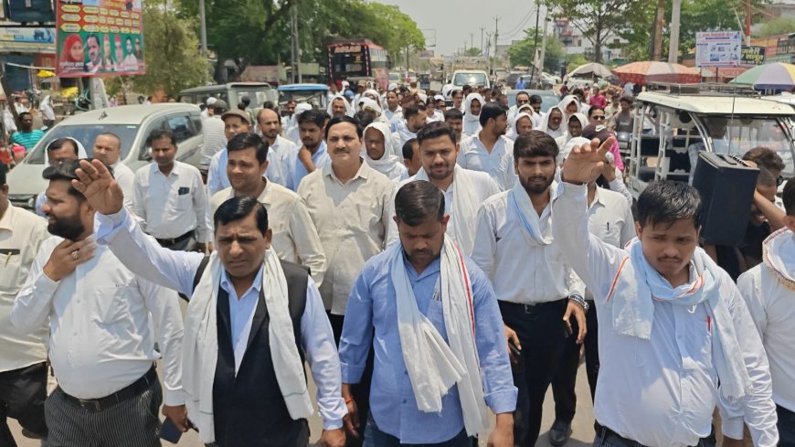 बार एसोसिएशन का धरना-प्रदर्शन, भूमि प्रकरण में कार्रवाई की उठाई मांग