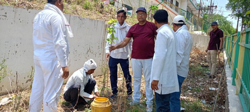 विश्व पर्यावरण दिवस पर पत्रकारों ने वृक्षारोपण कर दिया पर्यावरण संरक्षण का संदेश