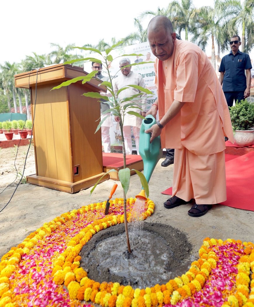 सीएम योगी ने विश्व पर्यावरण दिवस पर आम की प्रजाति अरुणिका का किया पौधरोपण