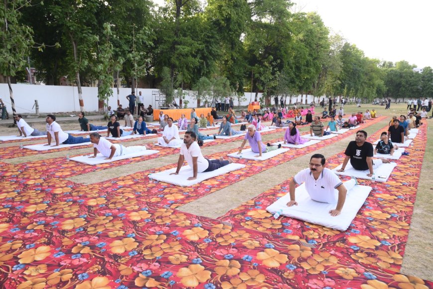 योग सप्ताह-2026 का शुभारंभ, स्वस्थ एवं सक्रिय जीवन के लिए योग अपनाने का दिया गया संदेश