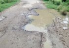 सड़क में गड्ढे नहीं, गड्ढों में सड़क तलाशनी पड़ रही है