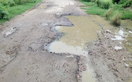सड़क में गड्ढे नहीं, गड्ढों में सड़क तलाशनी पड़ रही है
