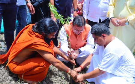 हरेला पर्व पर मालाग्राम पहुंचे मुख्यमंत्री, सघन पौधरोपण कर दिया हरित संरक्षण का संदेश