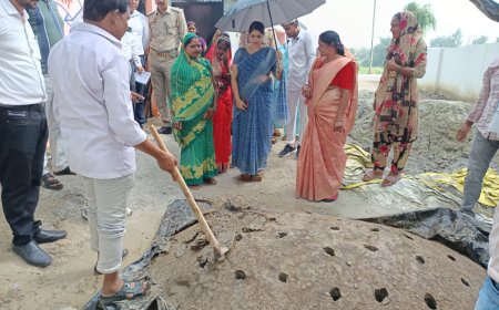 जिलाधिकारी ने वड्डूपुर में एनटीपीसी बॉटम ऐश से निर्मित जैविक खाद का किया निरीक्षण