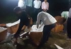 रक्षाबंधन पर्व पर मिलावटखोरों के खिलाफ खाद्य सुरक्षा विभाग की बड़ी कार्रवाई, 15 कुंतल खराब पनीर कराया नष्ट