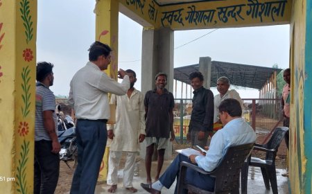गौ आश्रय स्थलों की जांच के लिए जिलास्तरीय अधिकारियों को सौंपी जिम्मेदारी
