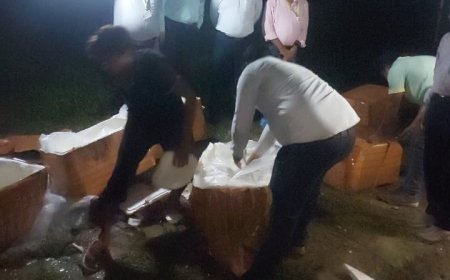 रक्षाबंधन पर्व पर मिलावटखोरों के खिलाफ खाद्य सुरक्षा विभाग की बड़ी कार्रवाई, 15 कुंतल खराब पनीर कराया नष्ट