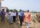 जिलाधिकारी ने सुमेरपुर की गौशालाओं का किया औचक निरीक्षण, व्यवस्थाओं में सुधार के दिए कड़े निर्देश