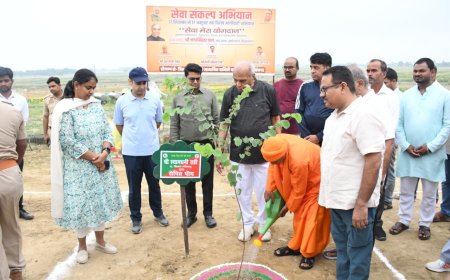 सेवा संकल्प अभियान के अन्तर्गत स्वच्छता मेरी सेवा/वृक्षारोपण कार्यक्रम का हुआ आयोजन