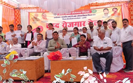 आईटीआई गौरीगंज में एक दिवसीय विधानसभा स्तरीय रोजगार मेले का किया गया आयोजन