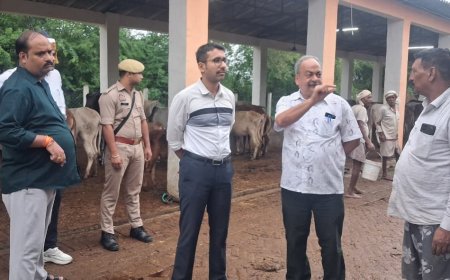 जिलाधिकारी ने गौशालाओं का किया औचक निरीक्षण