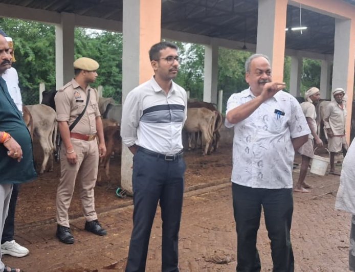 जिलाधिकारी ने गौशालाओं का किया औचक निरीक्षण