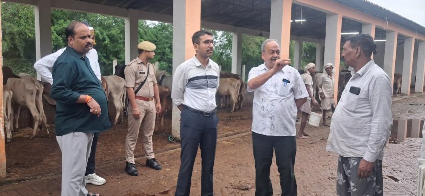 जिलाधिकारी ने गौशालाओं का किया औचक निरीक्षण