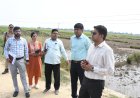 जिलाधिकारी ने फसल क्षतिपूर्ति सर्वेक्षण कार्य का किया निरीक्षण