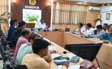 छुट्टा पशुओं के संरक्षण के लिए तीन दिवसीय विशेष अभियान चलाने के जिलाधिकारी ने दिए निर्देश