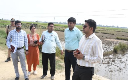 जिलाधिकारी ने फसल क्षतिपूर्ति सर्वेक्षण कार्य का किया निरीक्षण