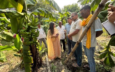 मुख्य विकास अधिकारी ने संग्रामपुर में कृषि प्रदर्शनों का किया औचक निरीक्षण
