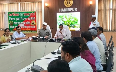 पौधरोपण के बाद पौधों का संरक्षण और शत-प्रतिशत जियो-टैगिंग सुनिश्चित करें सभी विभाग - जिलाधिकारी