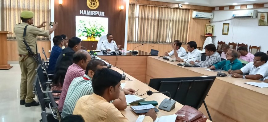 छुट्टा पशुओं के संरक्षण के लिए तीन दिवसीय विशेष अभियान चलाने के जिलाधिकारी ने दिए निर्देश